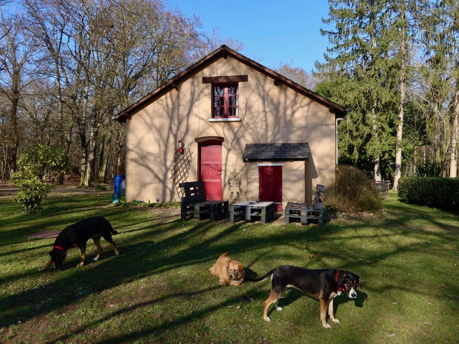 La Faisanderie Saint-Florent-sur-Cher Exterior photo